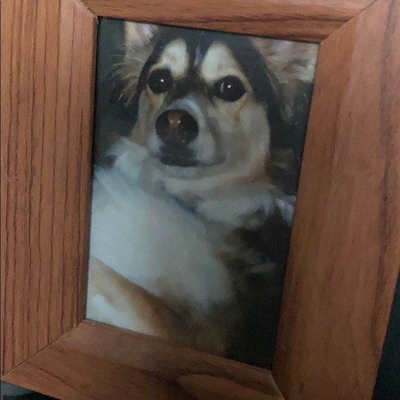dogl0verone